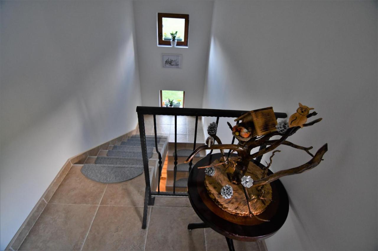 Guest House Blue Views Плав Екстериор снимка