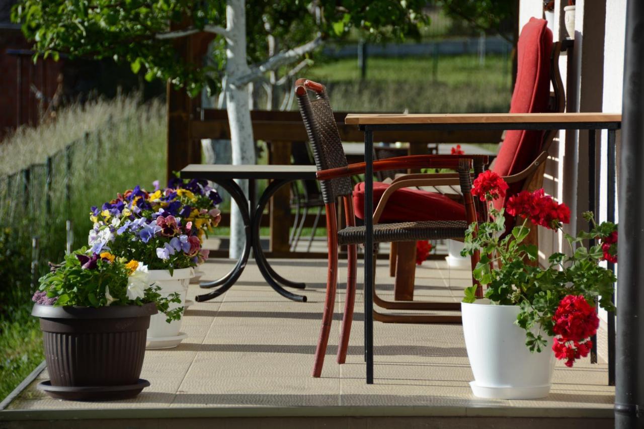 Guest House Blue Views Плав Екстериор снимка