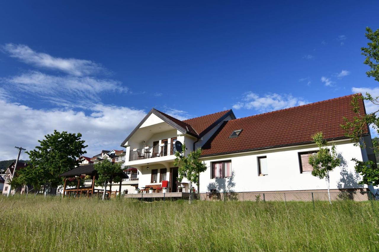 Guest House Blue Views Плав Екстериор снимка